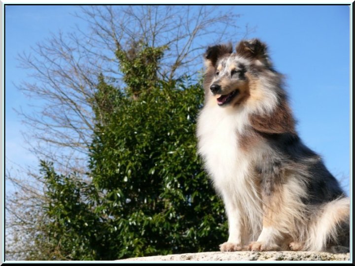 Blue water of freedom island