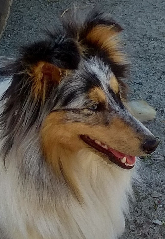 Olympe of freedom island