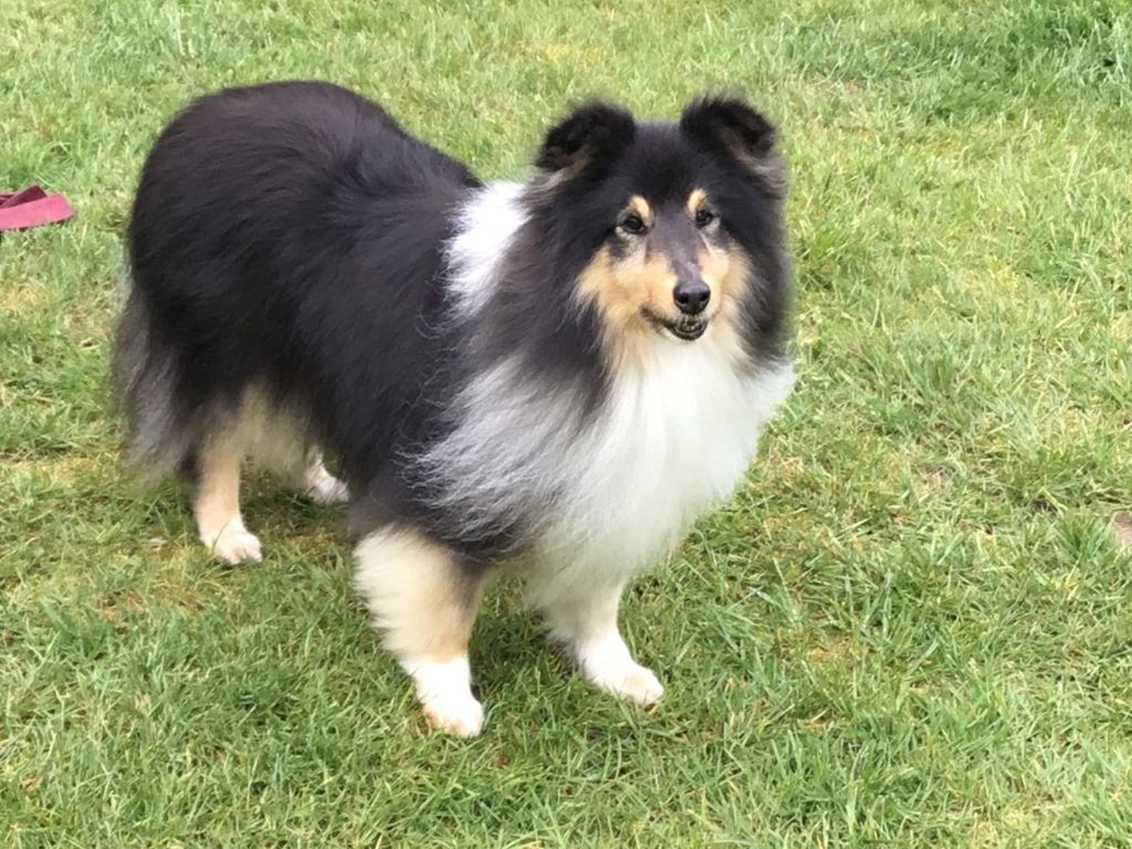 Calypso of freedom island